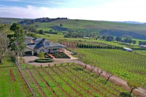 Waybourne- Vineyard and Winery - Great Ocean Road Tourism